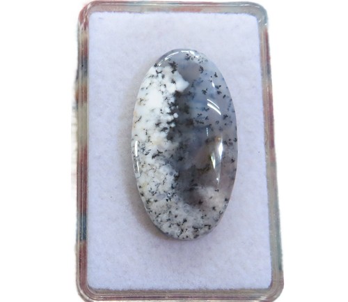 Dendriten opal dendrite - dendriten,
