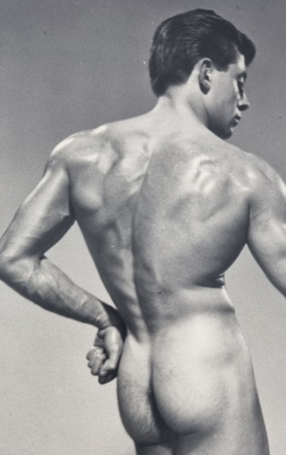 Male nude bodybuilder - nude,