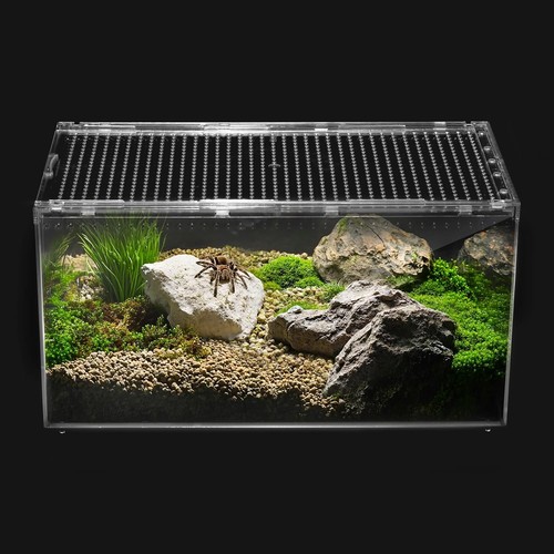 Compact lockable terrarium for - compact,