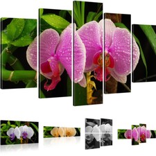 Bilder Orchidee Wandbilder