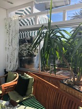 PLEXIGLAS Acrylglas Zuschnitt