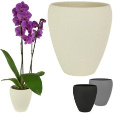 Spang Luna Orchideentopf