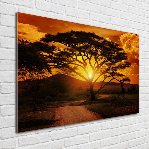 Acrylglas bild wandbilder - acrylglas-bild,