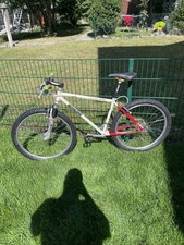 Herren Mountainbike