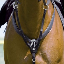 Kieffer Vorderzeug Jessica