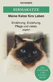 Birma katze die heilige - birma,