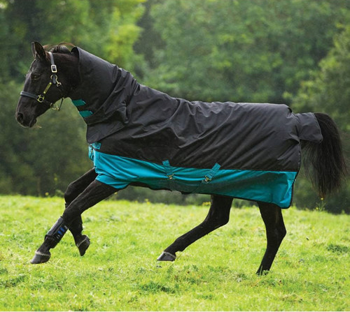 Abverkauf horseware amigo - horseware,