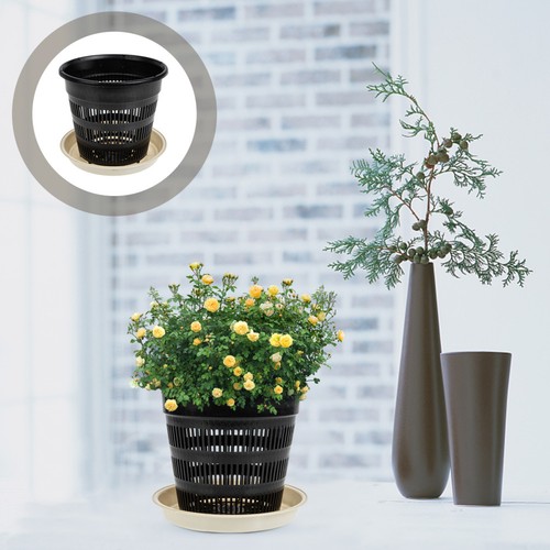 Blumen untertopf übertöpfe - blumen,