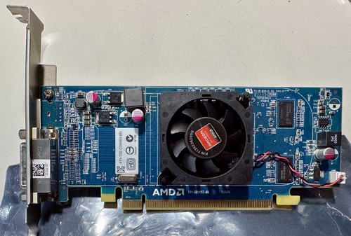Amd radeon 6350 512mb ddr3 - amd,