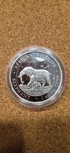 Silbermünze elefant 1oz - ,