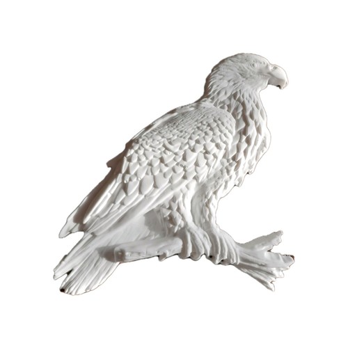 Adler falke vogel - adler,