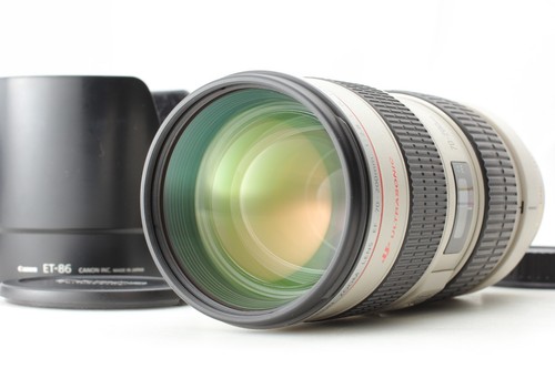 Canon 200mm 8 - 70-200mm, f/2.8