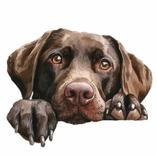 Designer Aufkleber / Sticker