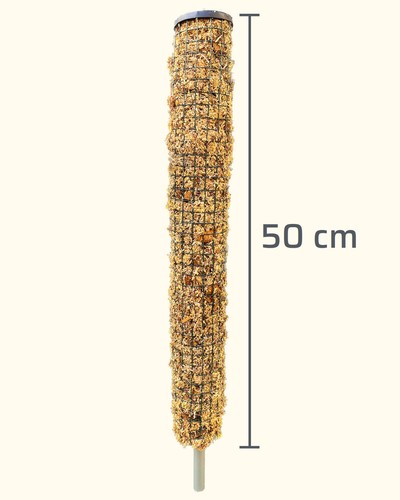 Sphagnum moosstab - 50, cm