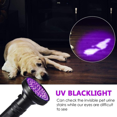 Taschenlampe schwarzlicht - taschenlampe,