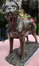 Bronzestatue the bullmastiff - "the, bullmastiff"