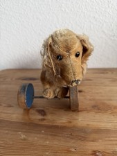 Steiff Dackel Waldi auf Rollen,Vorkrieg, 30er/40er Jahre, mit Knopf