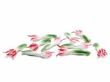 10x Sepia Tintenfisch Krake