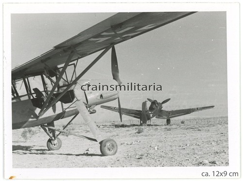Orig foto fieseler 156 - foto,