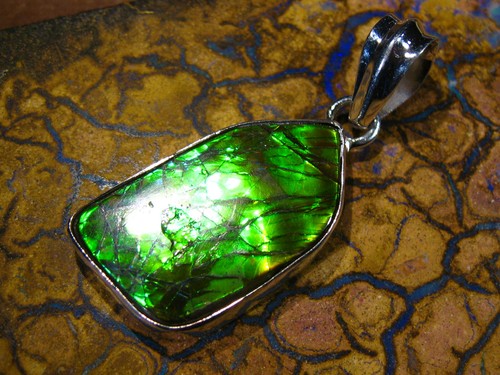 Gem ammolite ammolith - gem,