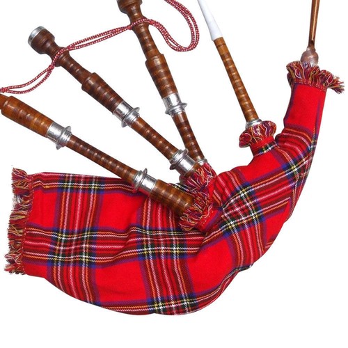 Schottische great highland - schottische,
