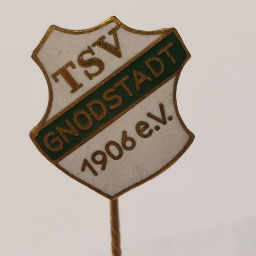 Fussball anstecknadel tsv - fussball,