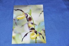 Postkarte gelber - ak,