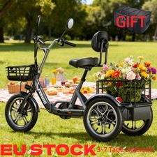 48V Elektro-Dreirad Lastenrad mit Korb  3-Rad E-Trike 50Nm Lager in Deutschland