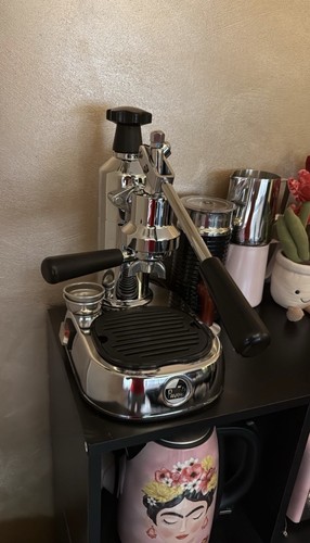 Pavoni mignon - la,
