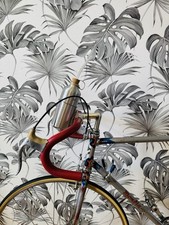 Trinkflasche Fahrrad Rennrad Aluminium Vintage Retro for Bianchi Colnago Gios