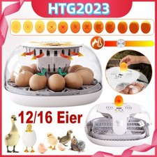 12/16 Eier Inkubator