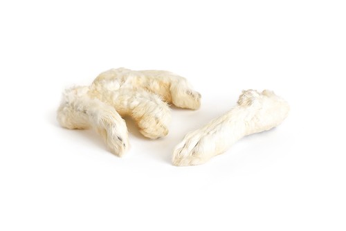 Kaninchenpfoten mit fell - kaninchenpfoten,