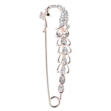 Glänzende  Sicherheitsnadel