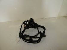 Türkabelbaum vorne rechts