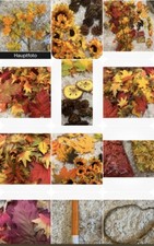 HERBST-DEKORATION  BASTELN DEKORIEREN Laub  ? Blätter ? Streudekoration Orange
