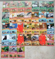 Wilde Helden Sammelkarten 29 Stück von 32 FAST Set Kartenspiel Tier Rewe 2022