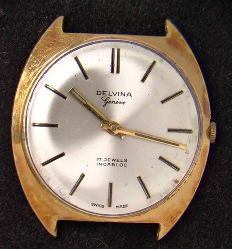 Delvina geneve herren - delvina,