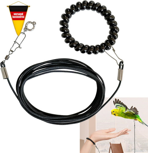 Haustier papagei vogel - haustier,