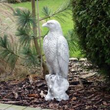 Adler Steinadler Vogel