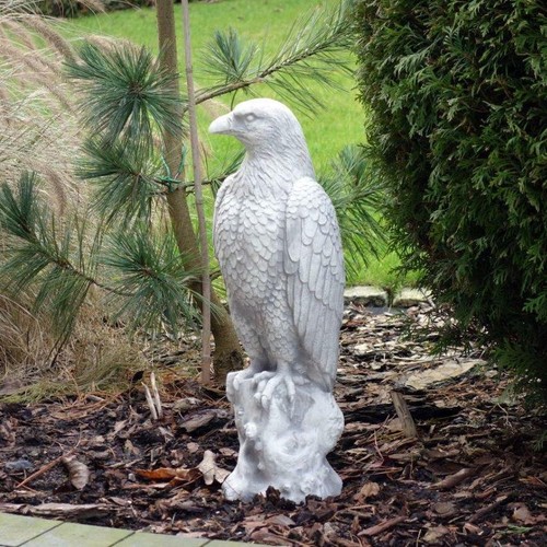 Adler steinadler vogel - steinadler,