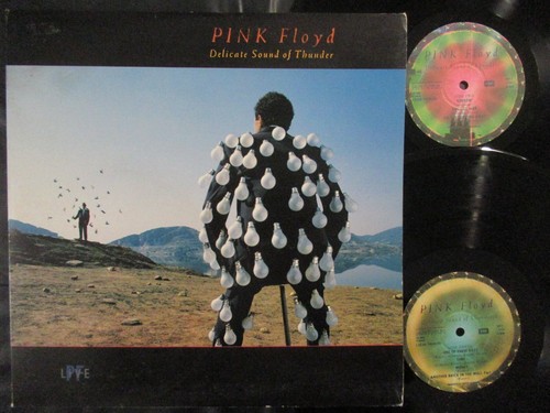 Pink floyd delicate sound - floyd,