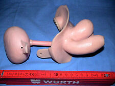 SOMSO PHYWE Lehrmodell Geschlechtsorgan Anatomie Teach Model Organ Penis Hoden Y