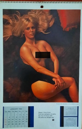 Playboy playmate calendar - playboy,