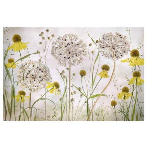 Leinwandbild allium helenium - allium,