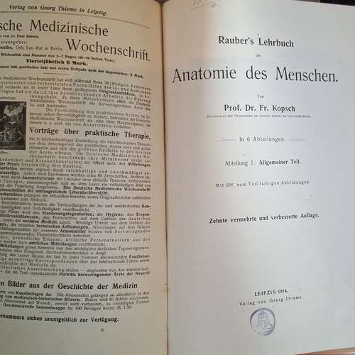 Rauber lehrbuch der - lehrbuch,