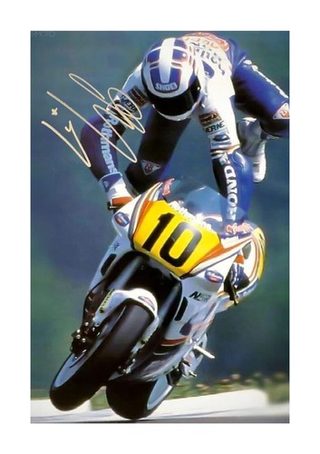 Wayne gardner reproduktion - wayne,