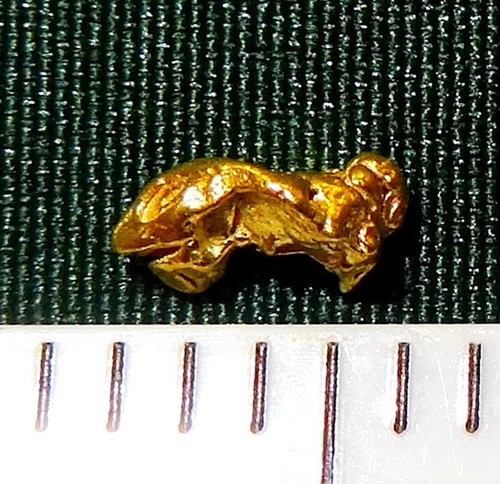 Goldnugget mm goldnuggets - xl,