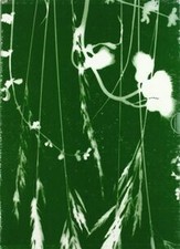 Gesti da museo von Marco Tonon | Buch | Zustand sehr gut