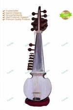 Neues Instrument Special Sarod