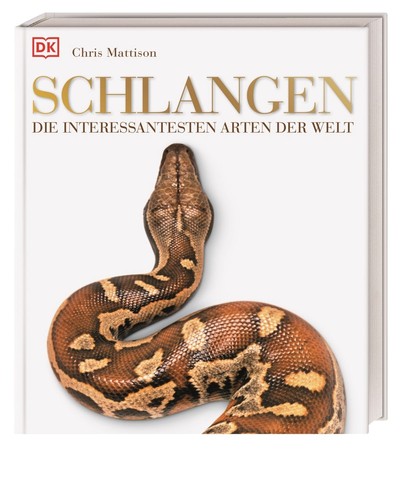 Schlangen die interessantesten - schlangen,